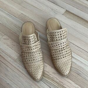 Freda Salvador Keen Mules